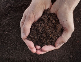 Composted Top Soil